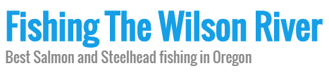 Fishing The Wilson River